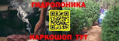 гашишное масло Малгобек