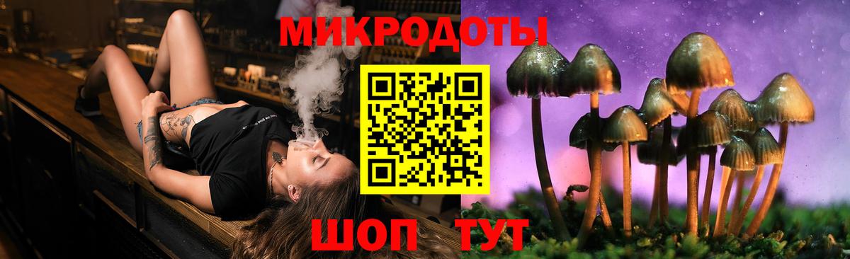 Бирск  Псилоцибиновые грибы Psilocybe  Вход с VPN 